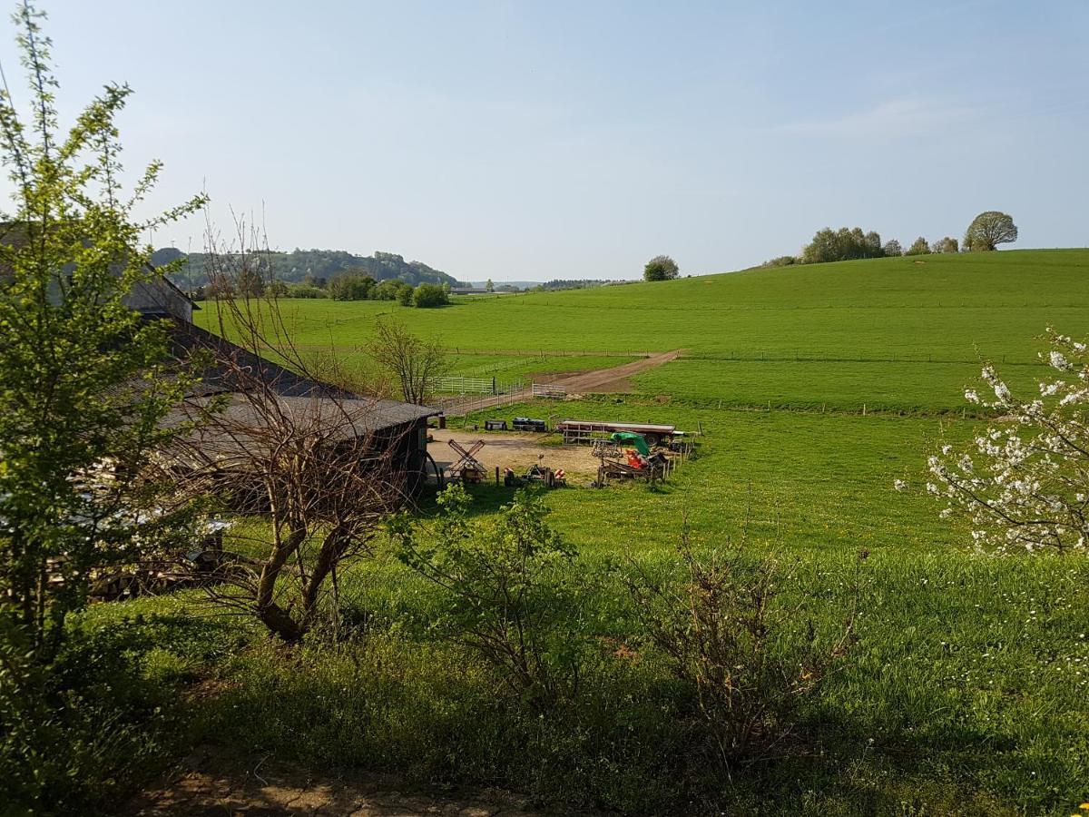 Ferienwohnung Familie Weber Losheim am See Eksteriør billede